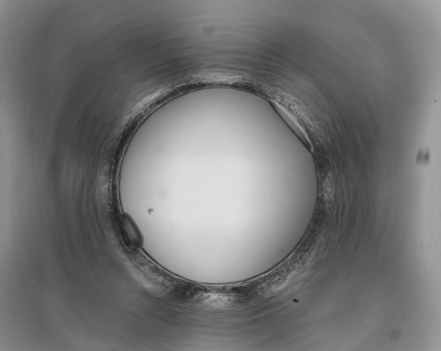 X0000096720352200802261659