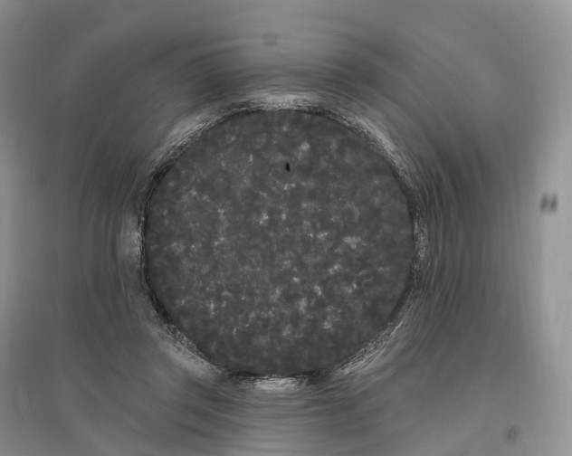 X0000096720357200802261659