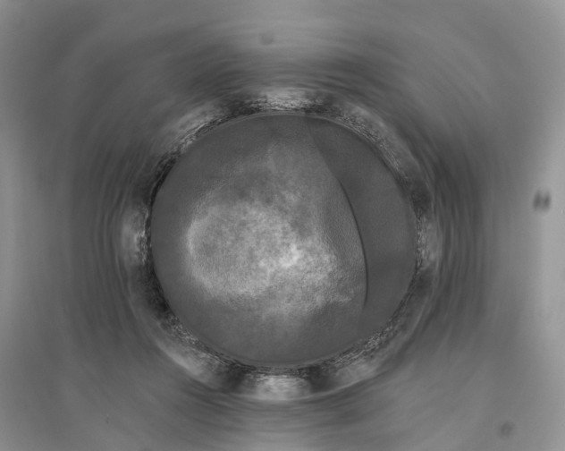 X0000096720360200802261659