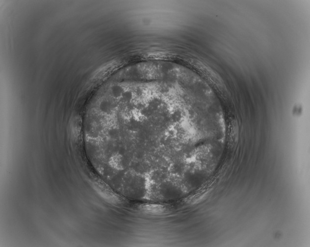 X0000096720361200802261659