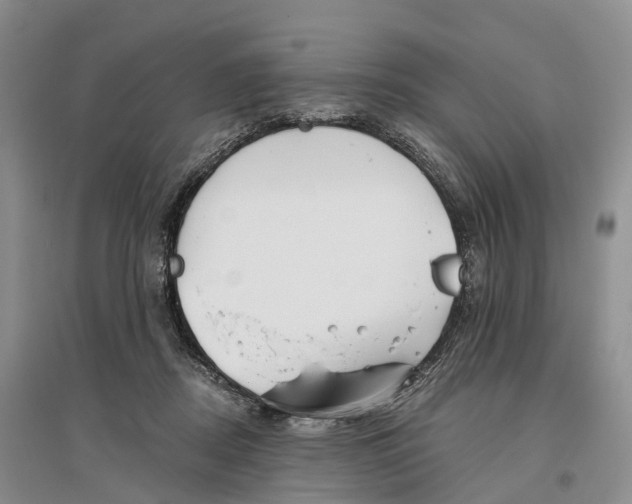 X0000096720362200802261659