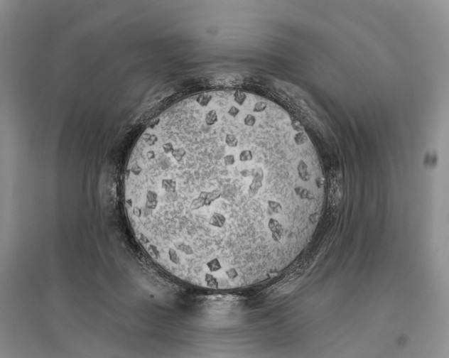 X0000096720363200802261659