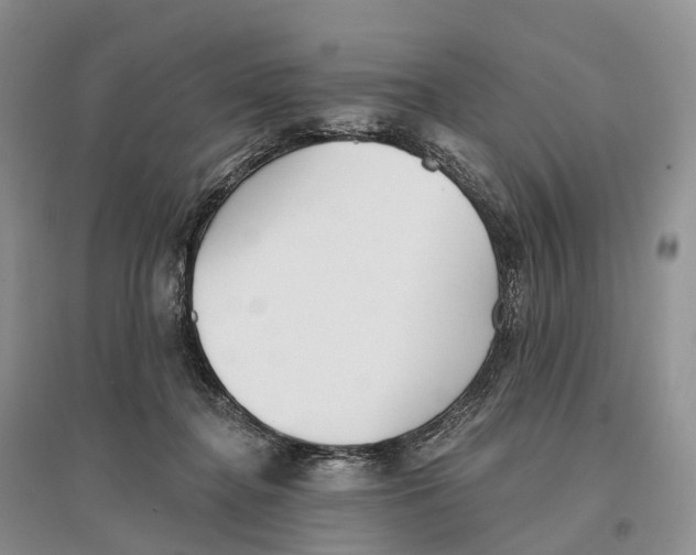 X0000096720364200802261659