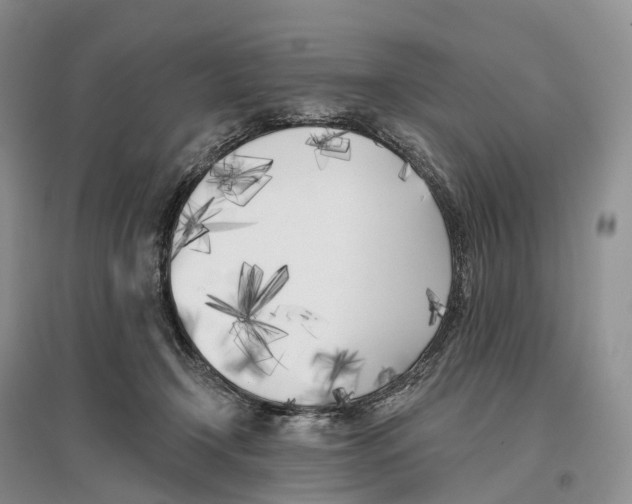 X0000096720366200802261659