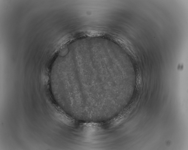 X0000096720367200802261659