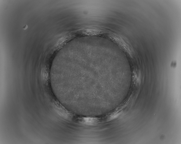 X0000096720371200802261700