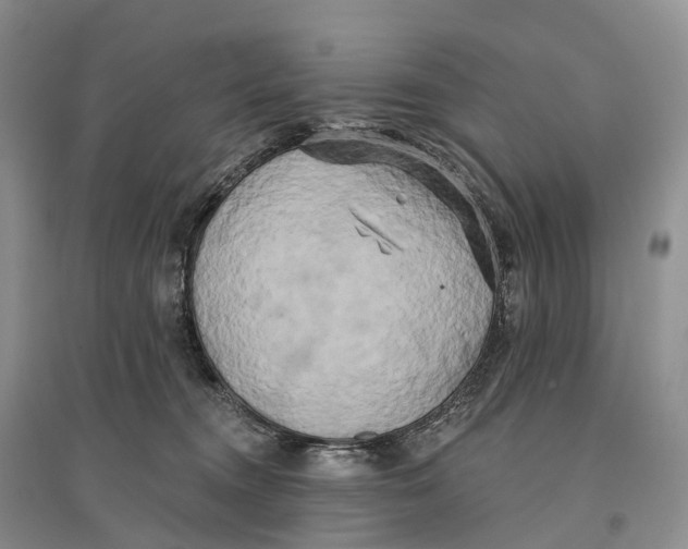 X0000096720372200802261700