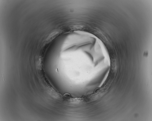 X0000096720378200802261700