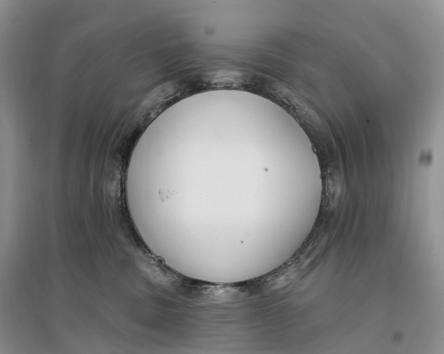 X0000096720379200802261700