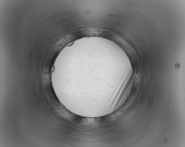 X0000096720381200802261700