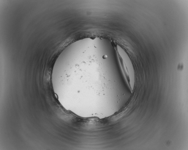 X0000096720382200802261700