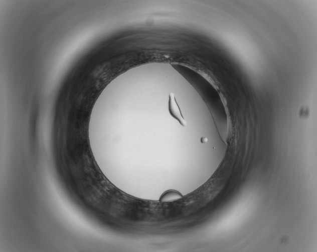 X0000096720383200802261700