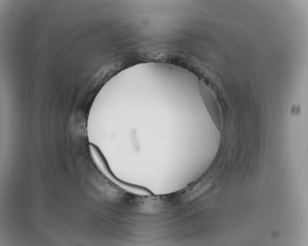 X0000096720384200802261700