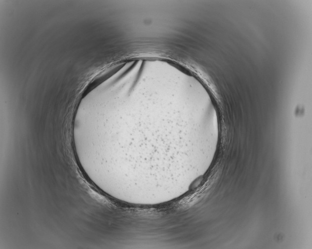 X0000096720385200802261659