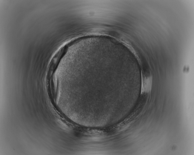 X0000096720387200802261659