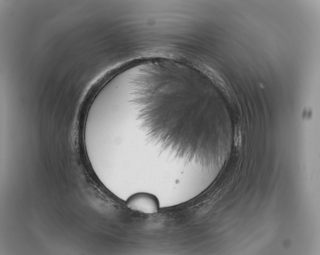 X0000096720388200802261659