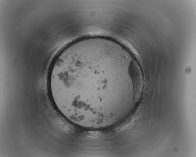 X0000096720391200802261659