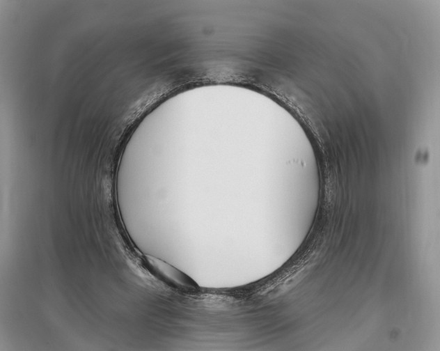 X0000096720393200802261659