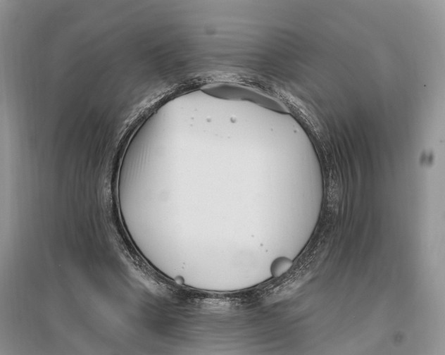 X0000096720394200802261659