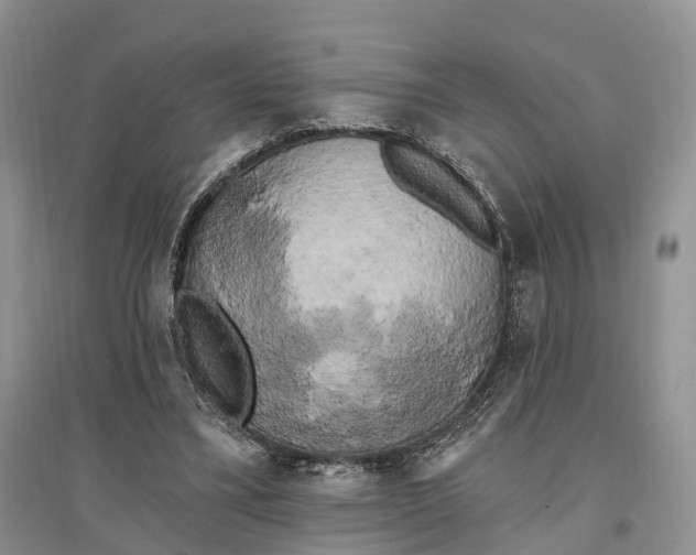 X0000096720395200802261659