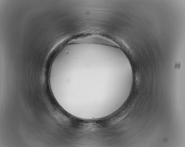 X0000096720396200802261659