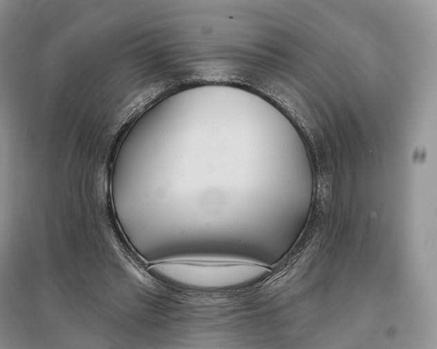 X0000096720397200802261659