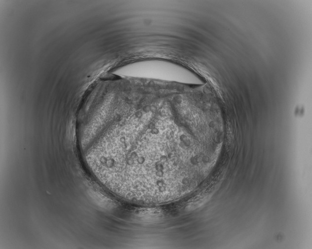 X0000096720398200802261659