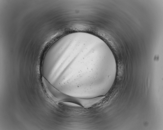 X0000096720399200802261659