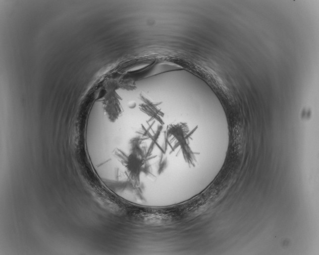 X0000096720400200802261659