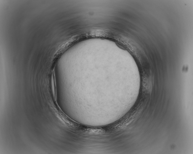 X0000096720401200802261659