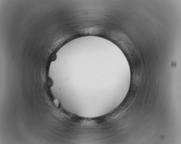 X0000096720403200802261659