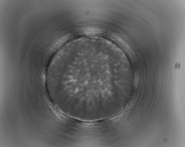 X0000096720405200802261659