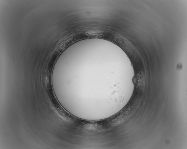 X0000096720408200802261659