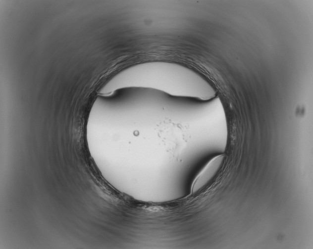 X0000096720409200802261659