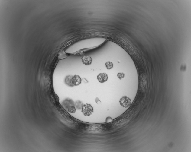 X0000096720410200802261659