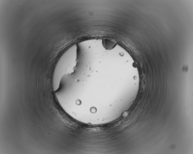 X0000096720411200802261659