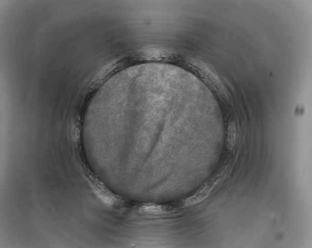 X0000096720413200802261659