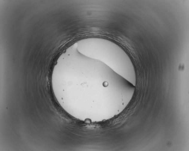 X0000096720415200802261659