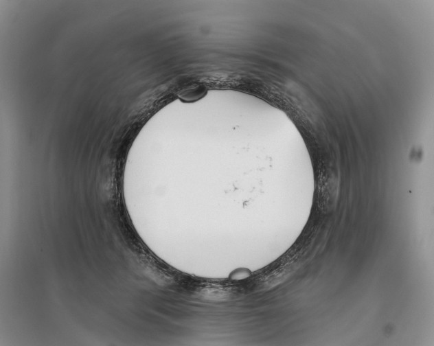 X0000096720416200802261659