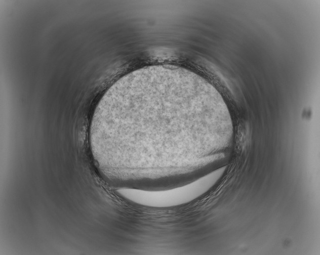 X0000096720417200802261658