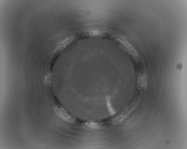 X0000096720419200802261658