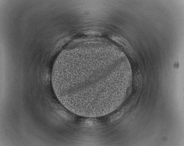 X0000096720420200802261658