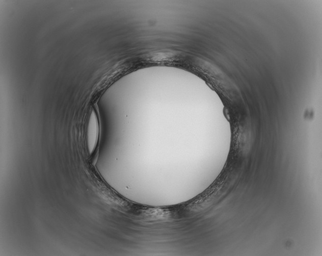 X0000096720421200802261658