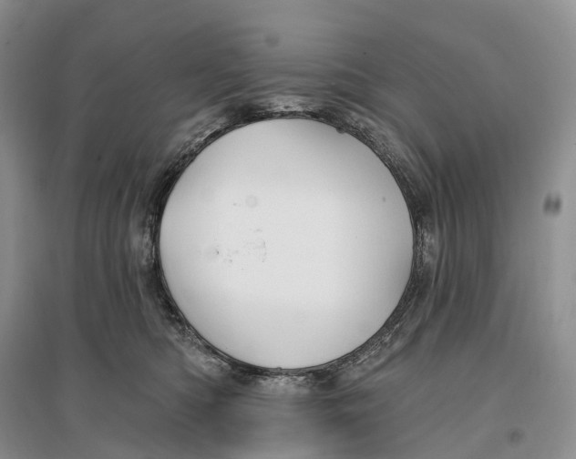 X0000096720422200802261658