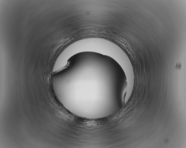 X0000096720423200802261658