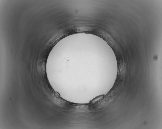 X0000096720426200802261658