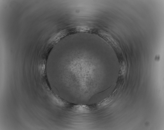 X0000096720427200802261658