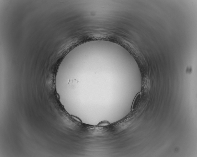 X0000096720428200802261658