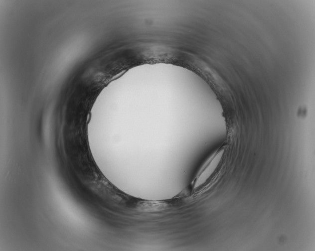 X0000096720429200802261658