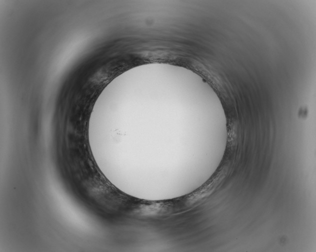 X0000096720430200802261658